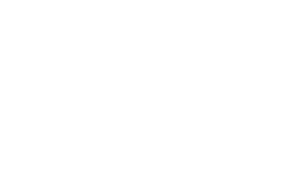 خدمات AEG