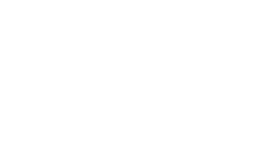 خدمات ایندزیت