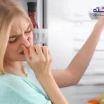 چگونه بوی فریزر را از بین ببریم؟