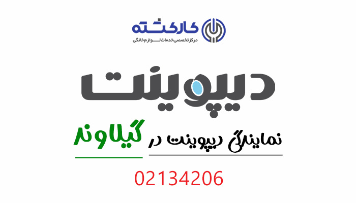 نمایندگی دیپوینت در گیلاوند